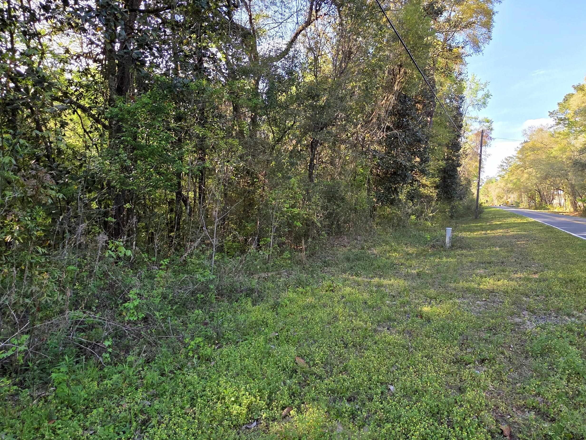 0 Williams Landing Road, Unit LOT #28 Tallahassee, FL 32310 - Photo 3 of 8