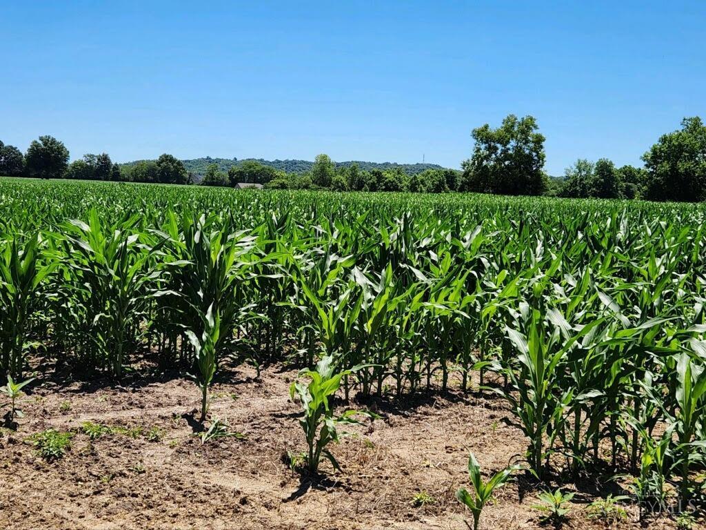 Acres Edgewood Road Harrison, OH 45030 - Photo 15 of 15