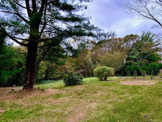 a view of a garden with a tree