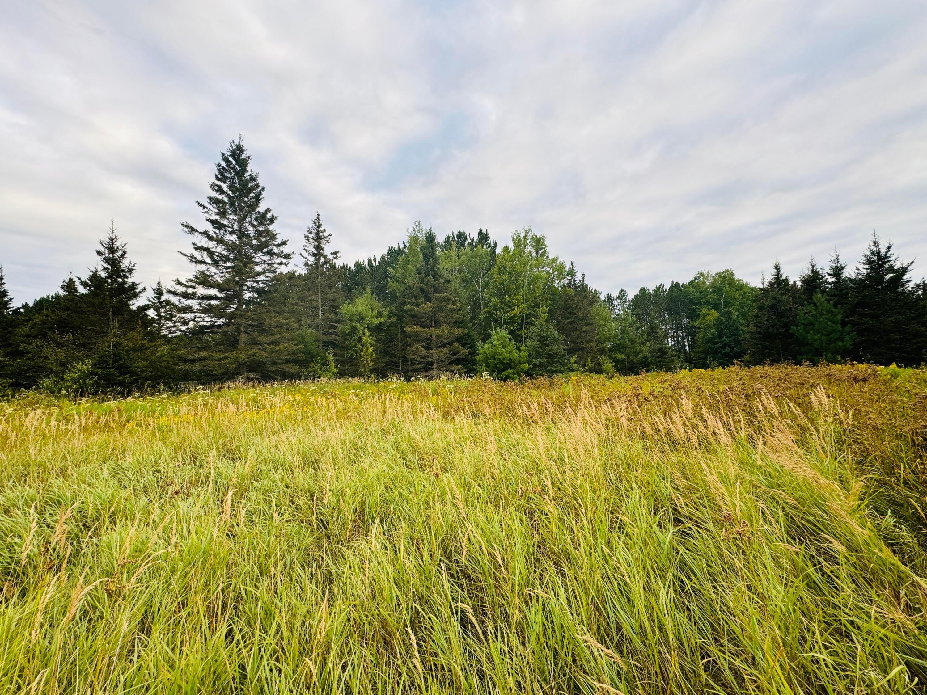 0 South Ridge Road Sault Ste. Marie, MI 49783 - Photo 7 of 10 Gallery Image 7
