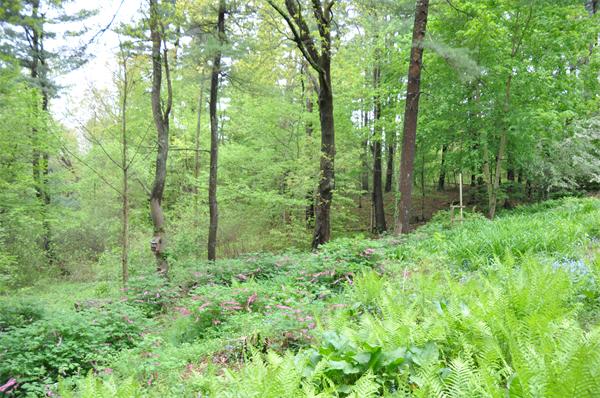 280 Silver Hill Road Concord, MA 01742 - Photo 18 of 21 Gallery Image 18