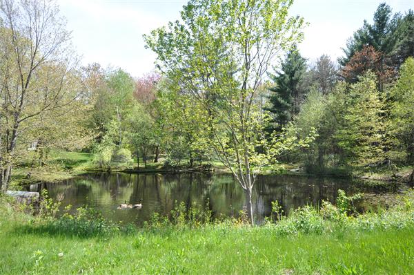 280 Silver Hill Road Concord, MA 01742 - Photo 19 of 21 Gallery Image 19