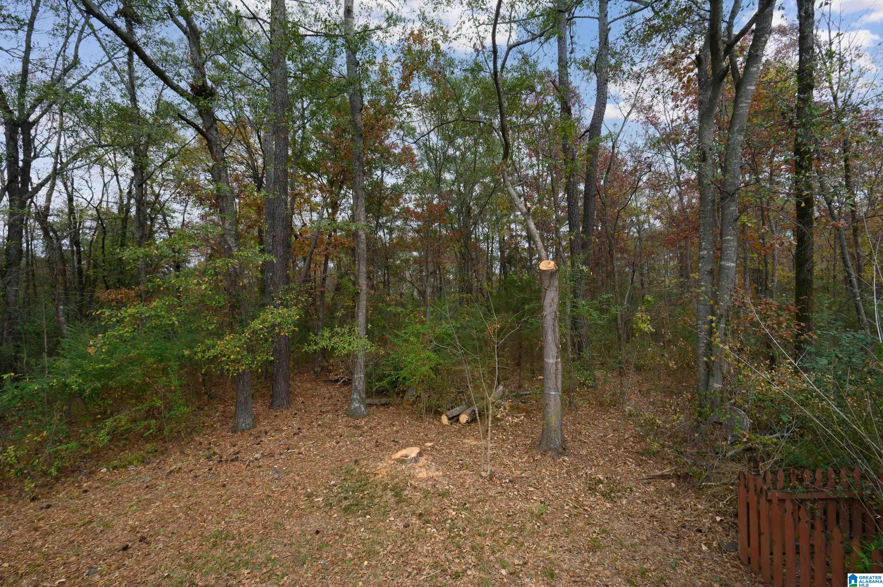25 Cottage Circle Pelham, AL 35124 - Photo 37 of 39