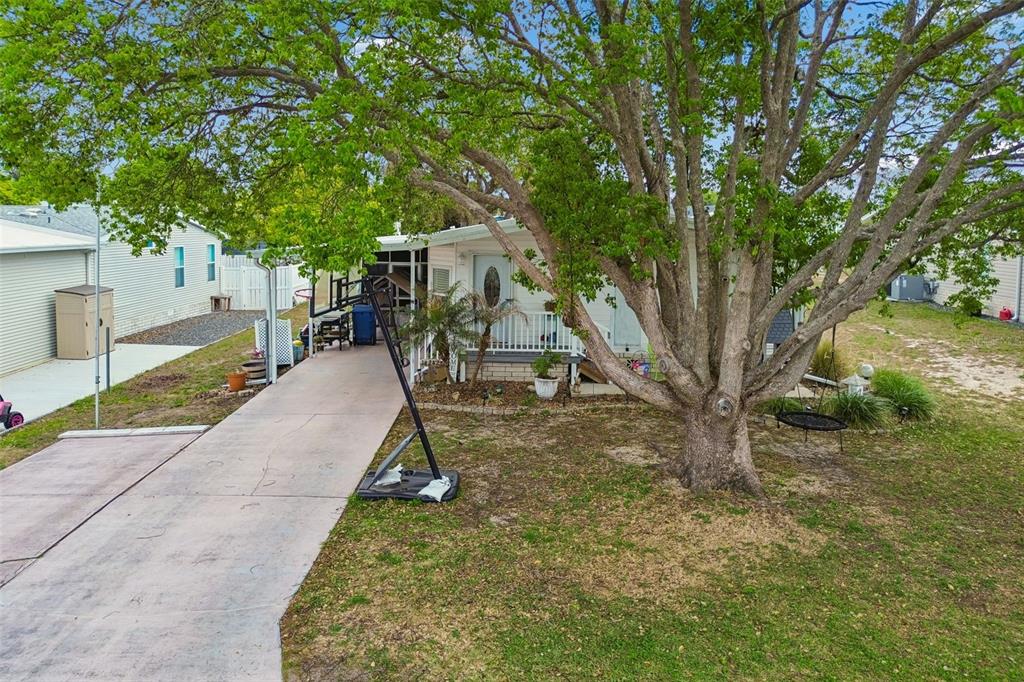 14242 Action Street Brooksville, FL 34613 - Photo 34 of 60