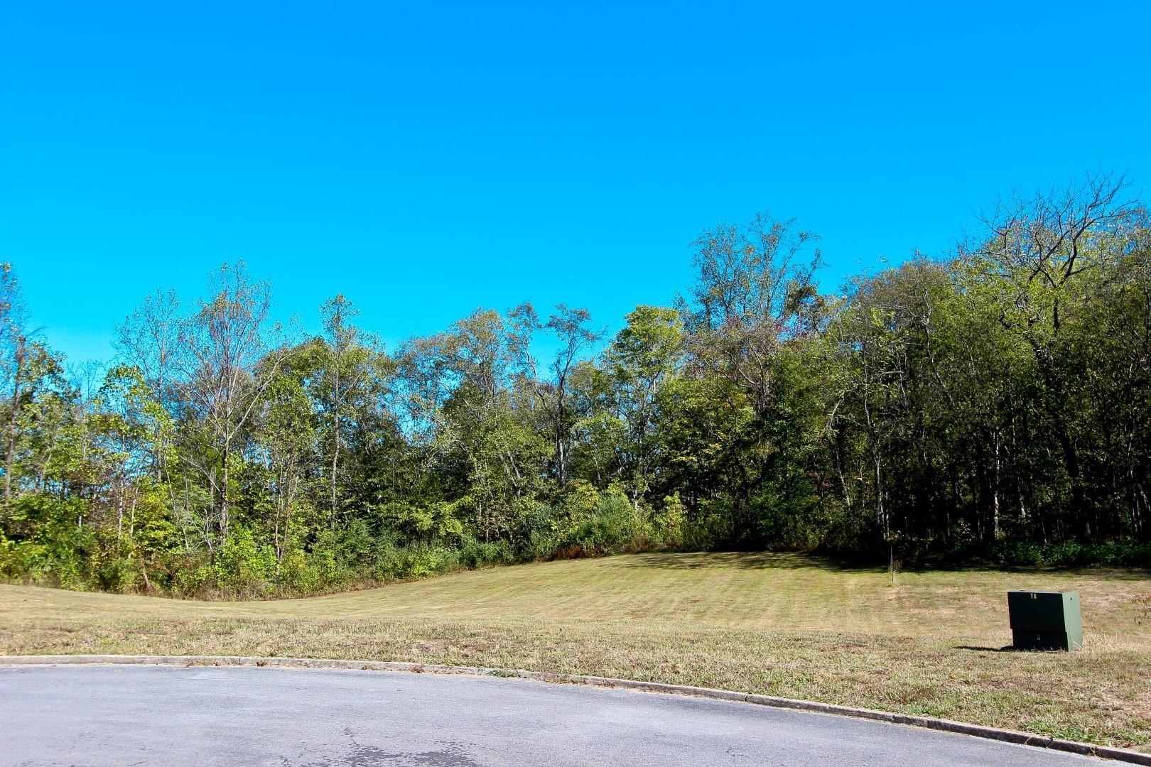 Lot 21 Woodvale Road Newport, TN 37821 - Photo 4 of 16 IMG_3603