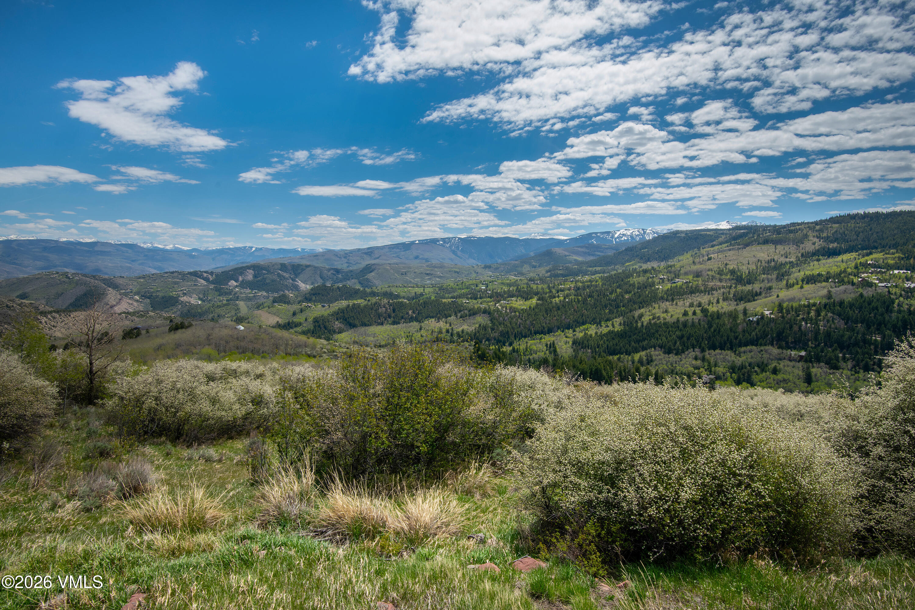 889 Ute Forest Edwards, CO 81632 - Photo 12 of 44 889 Ute Forest Lane Views