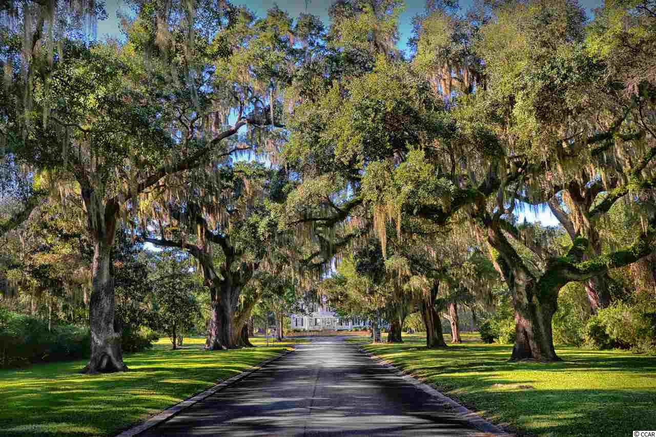 72 Landing Road, Unit 9 Pawleys Island, SC 29585 - Photo 2 of 40 Gallery Image 2
