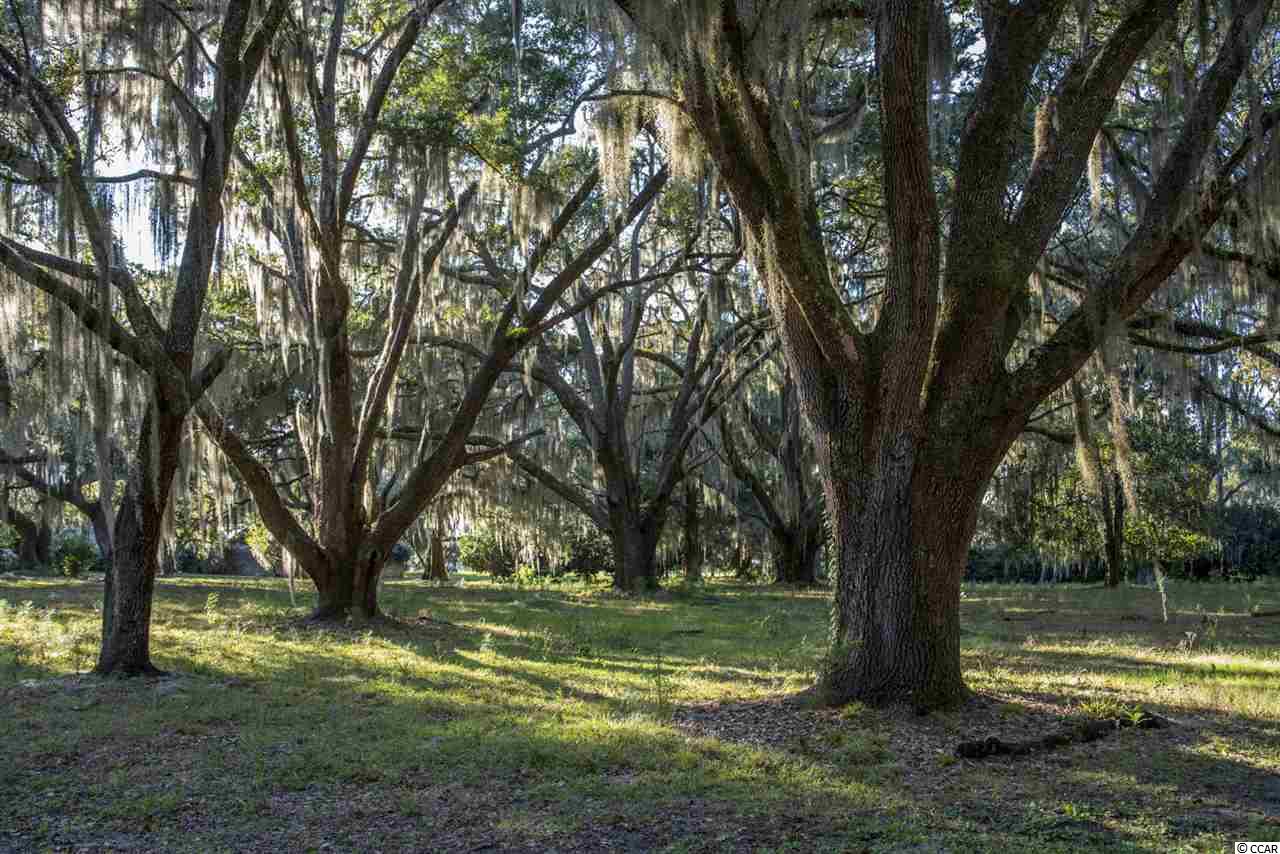 72 Landing Road, Unit 9 Pawleys Island, SC 29585 - Photo 3 of 40 Gallery Image 3