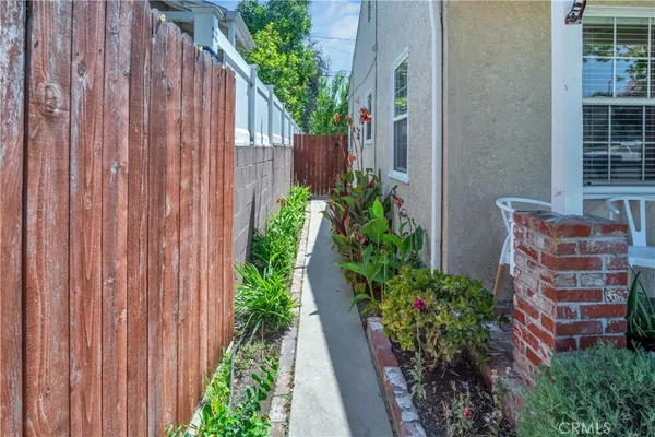 a view of a pathway with a plants