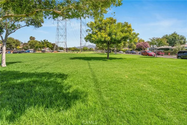a view of green field