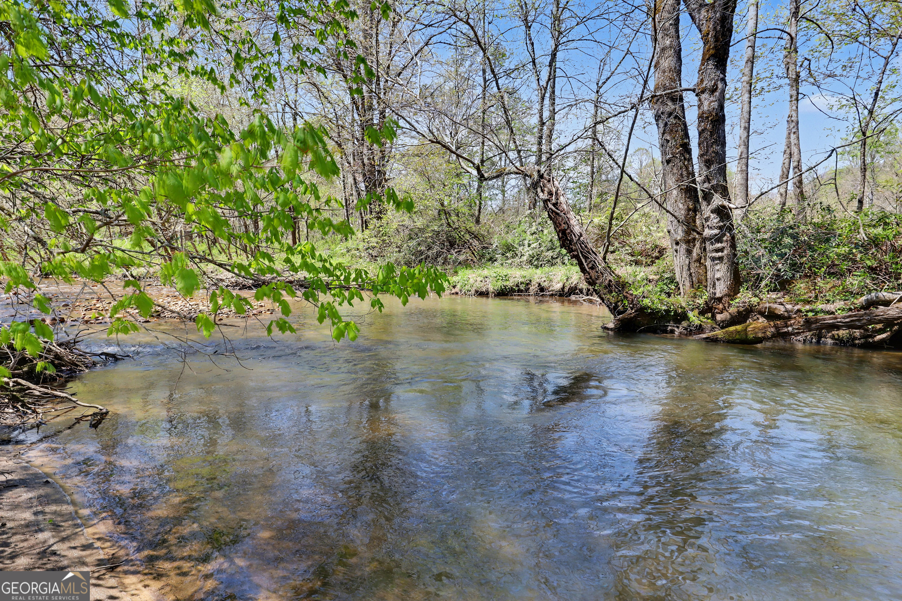 1067-o V Ov Justus Road Rabun Gap, GA 30568 - Photo 4 of 73