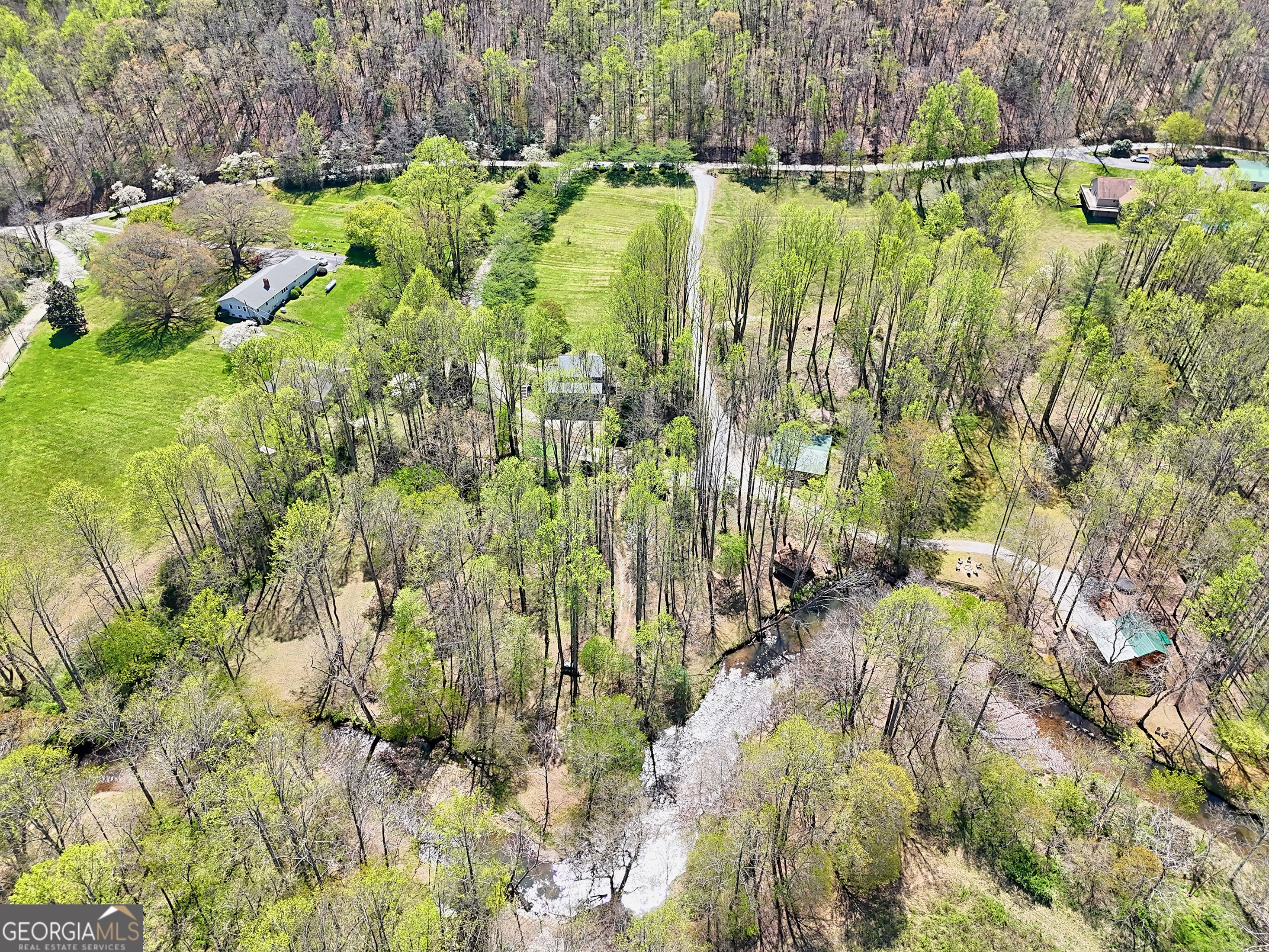 1067-o V Ov Justus Road Rabun Gap, GA 30568 - Photo 69 of 73 a view of a yard with plants and large trees