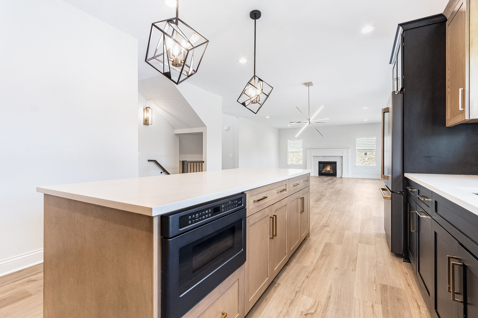 12776 Rosa Lane Lemont, IL 60439 - Photo 8 of 48