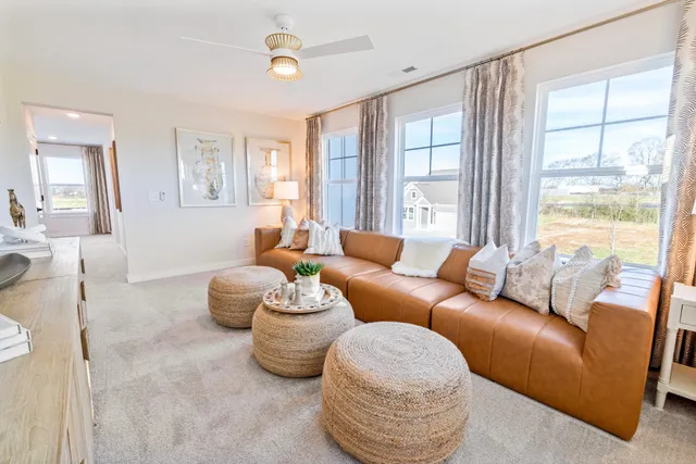 a view of a park with large trees