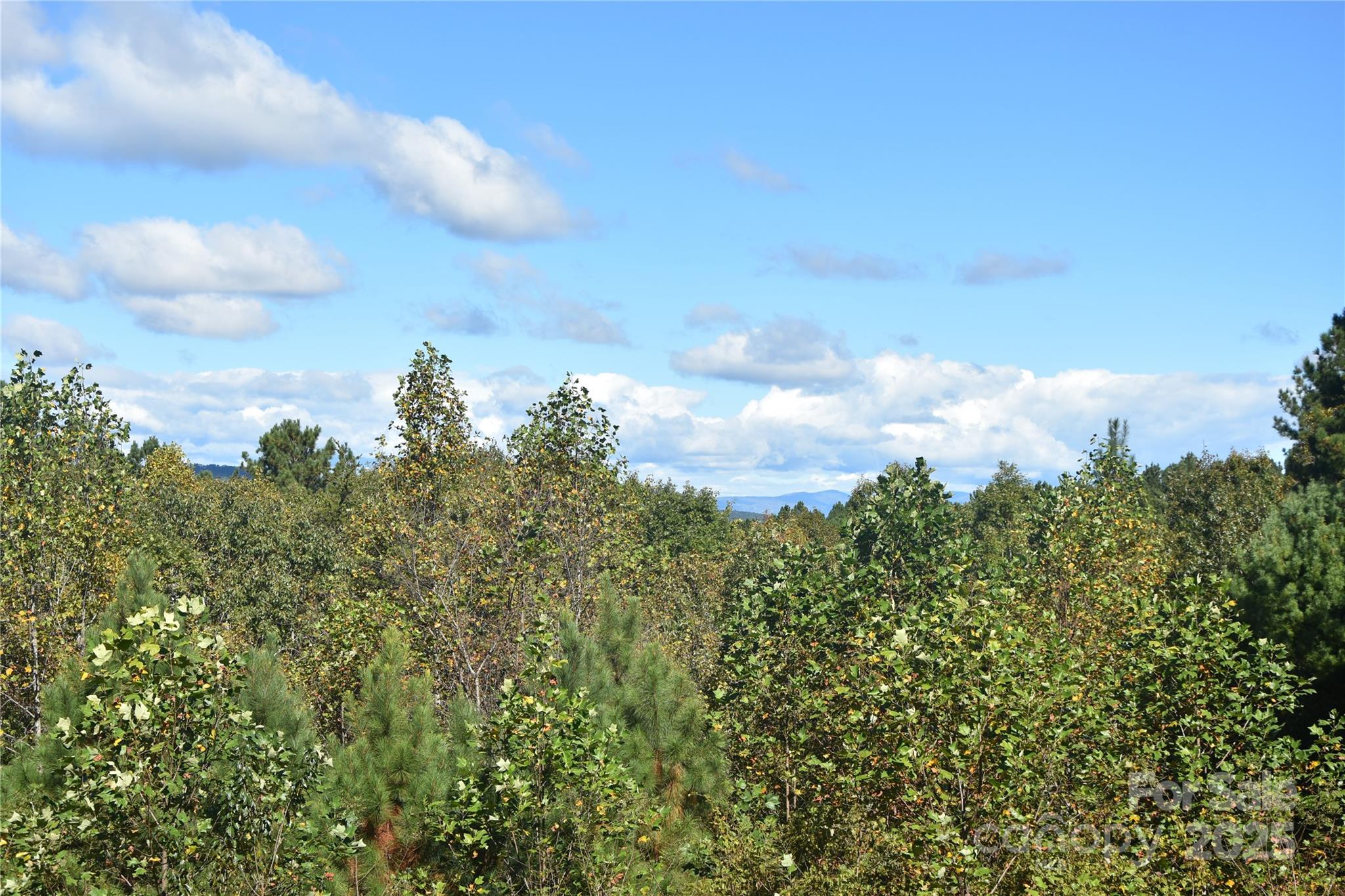 80 Grandview Loop Nebo, NC 28761 - Photo 19 of 42 a view of a city