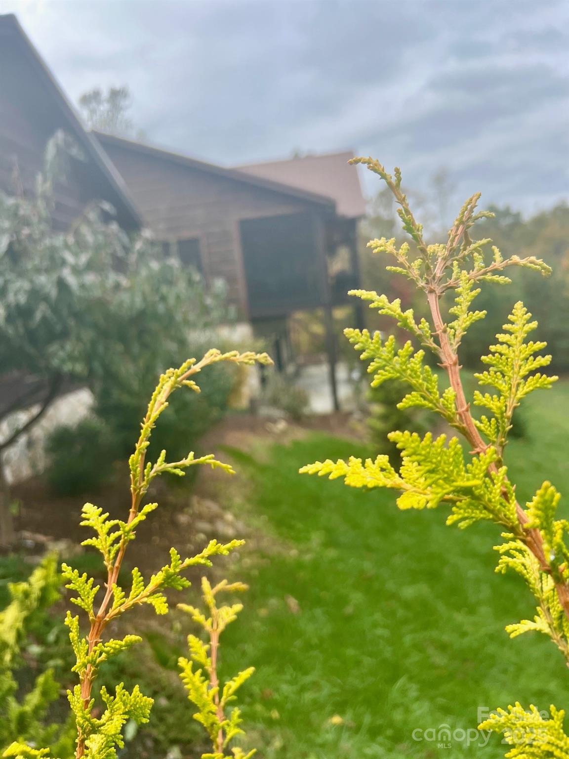 80 Grandview Loop Nebo, NC 28761 - Photo 38 of 42 a backyard of a house
