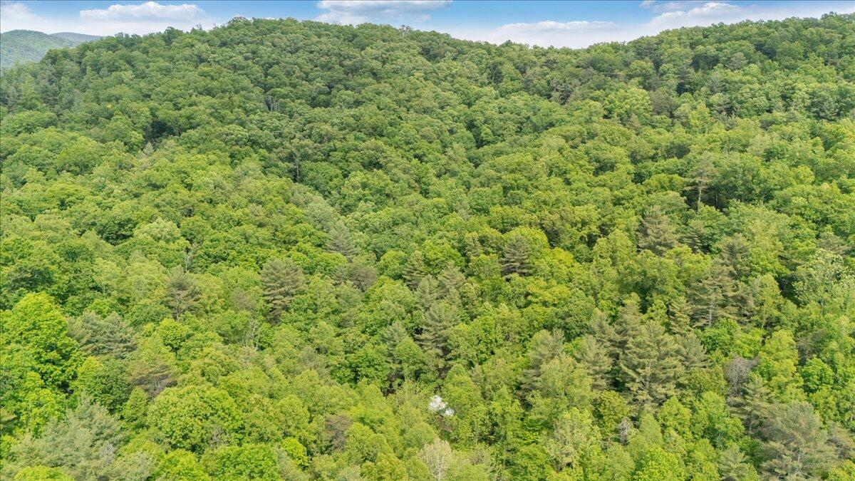 3994 Yates Road Shawsville, VA 24162 - Photo 14 of 40 36-DJI_20260516160727_0037_D