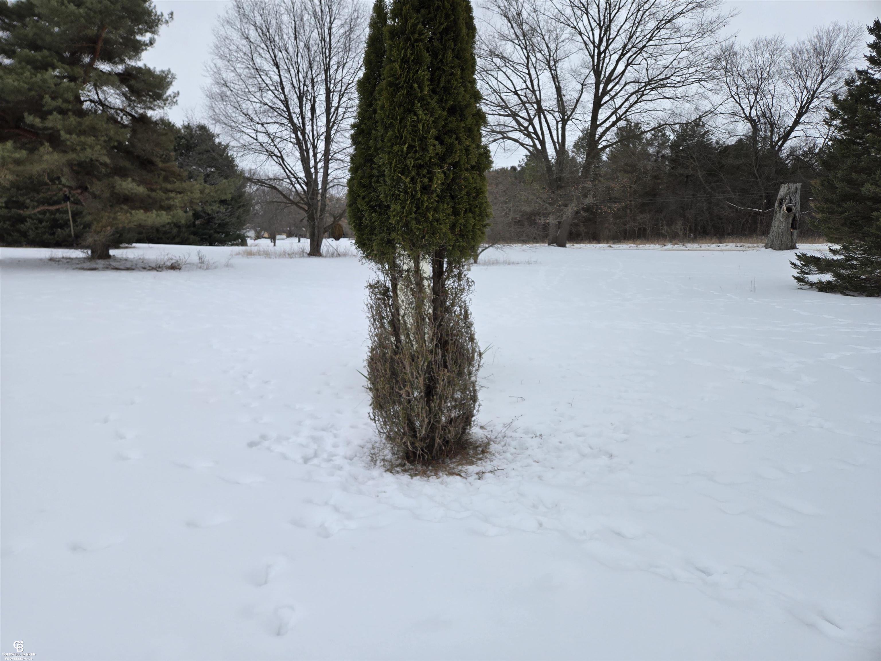 7441 Jordan Road Yale, MI 48097 - Photo 20 of 21