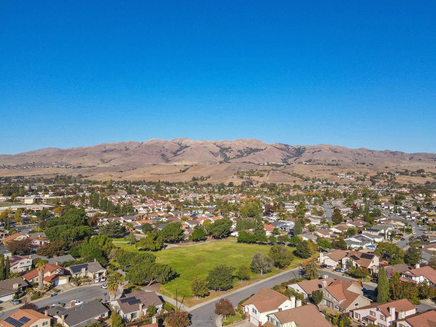 808 Hamilton Avenue Milpitas, CA 95035 - Photo 38 of 41 an aerial view of residential houses with outdoor space and trees