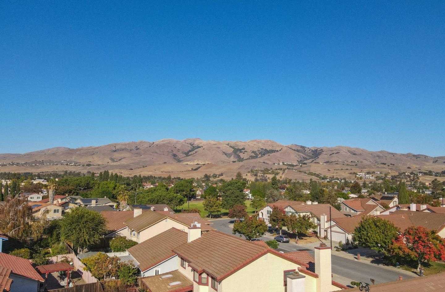 808 Hamilton Avenue Milpitas, CA 95035 - Photo 39 of 41 an aerial view of residential houses with outdoor space