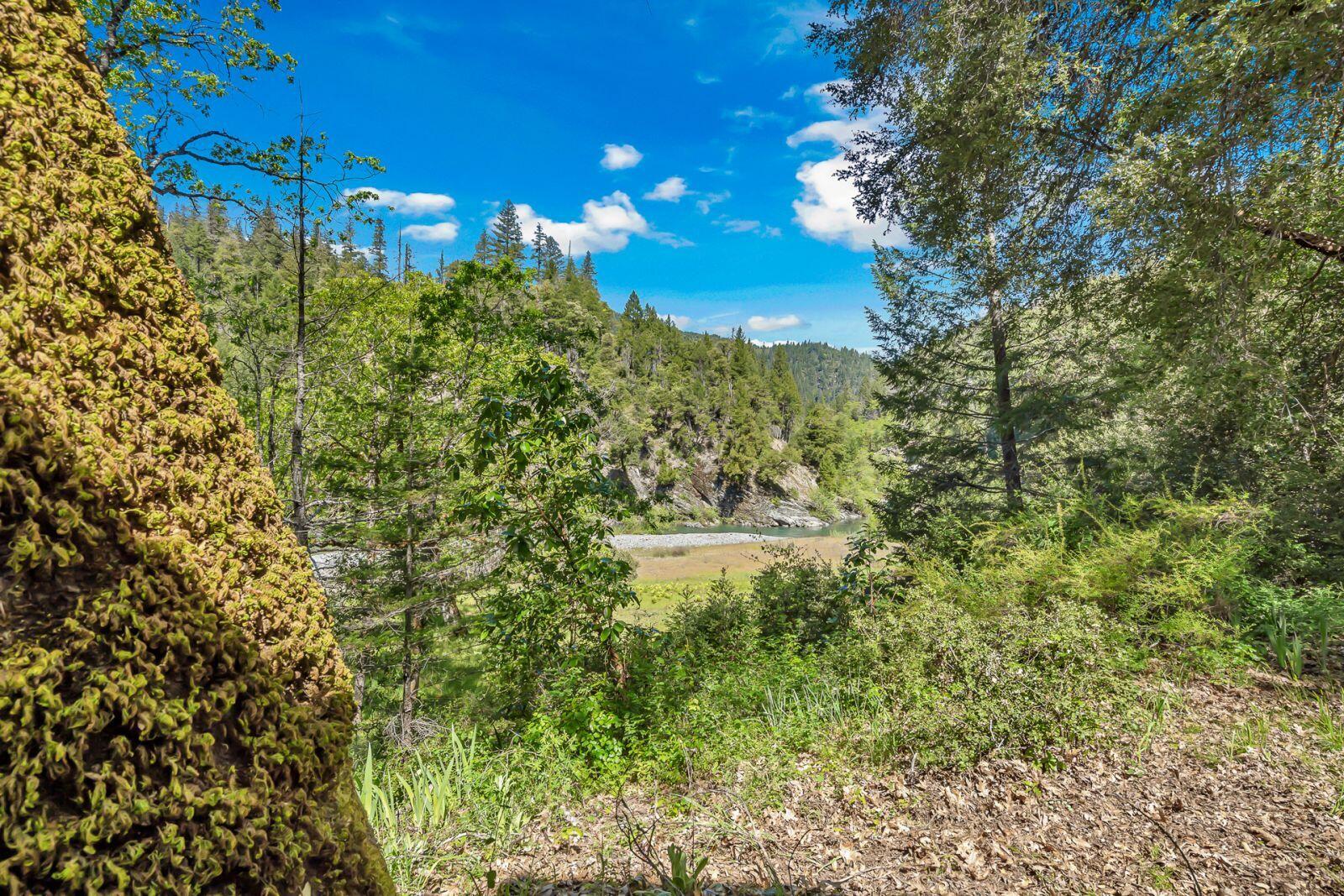 9490 St John Road Hyampom, CA 96046 - Photo 44 of 50