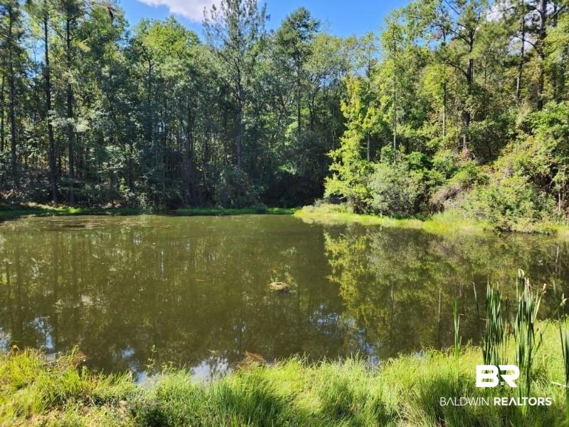 5560 Travis Road Brewton, AL 36426 - Photo 9 of 12