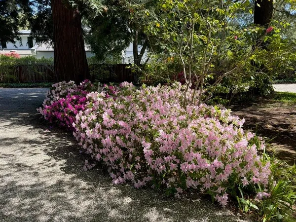 $11,000,000 | 269 Selby Lane, Atherton, CA 94027