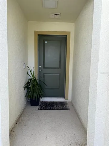 wooden floor with a potted plant