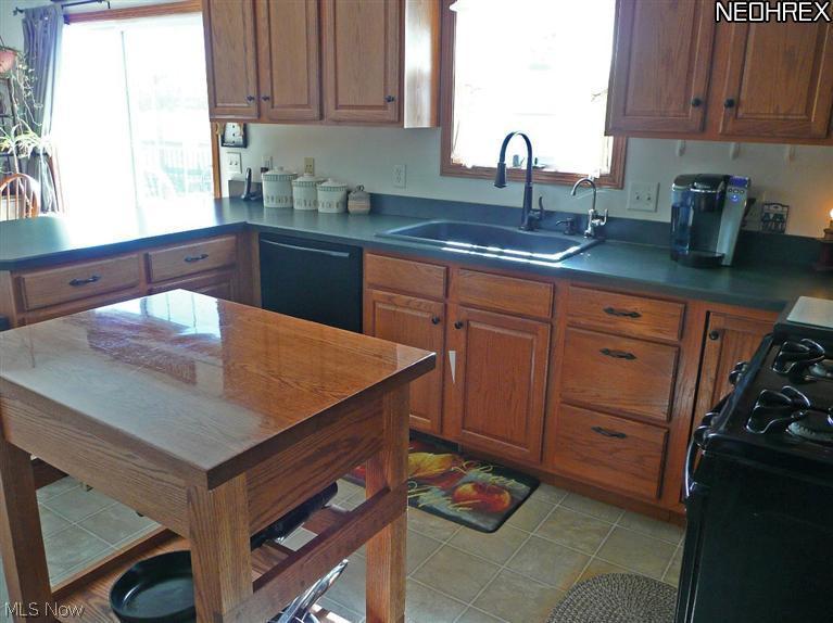 42741 Webster Road Lagrange, OH 44050 - Photo 11 of 25 Gallery Image 11