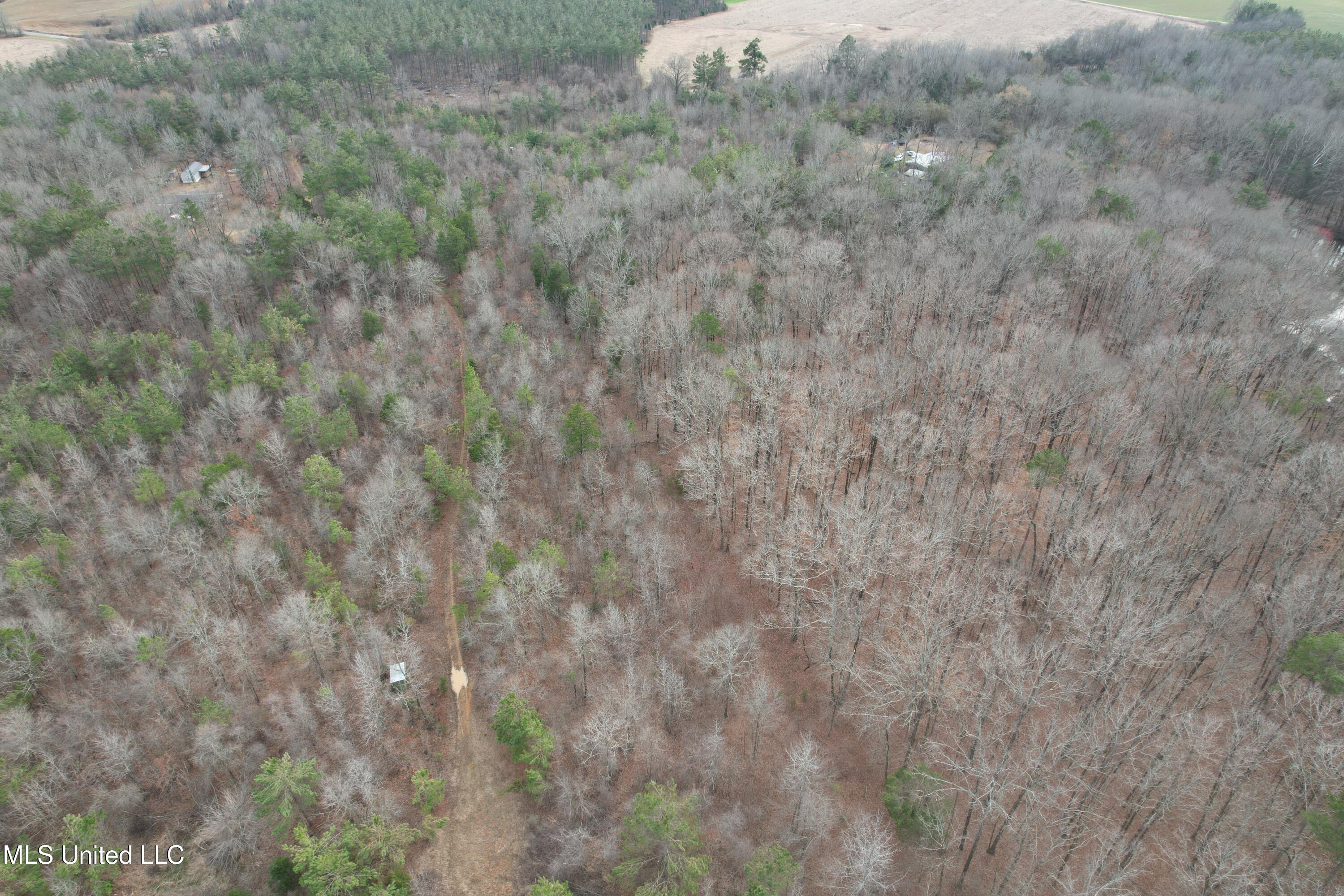 Gordon Road Duck Hill, MS 38925 - Photo 1 of 16 DJI_0176