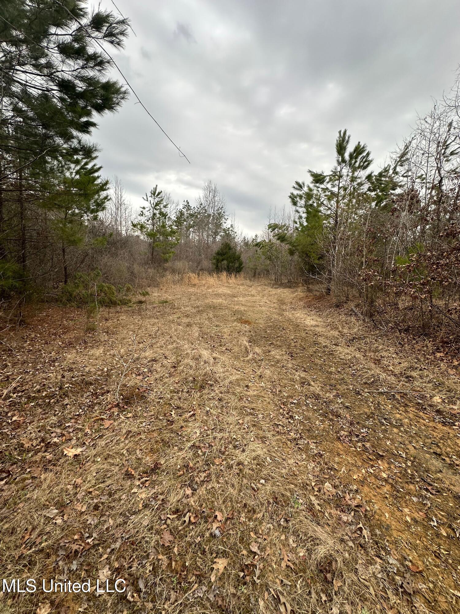 Gordon Road Duck Hill, MS 38925 - Photo 15 of 16 IMG_2836