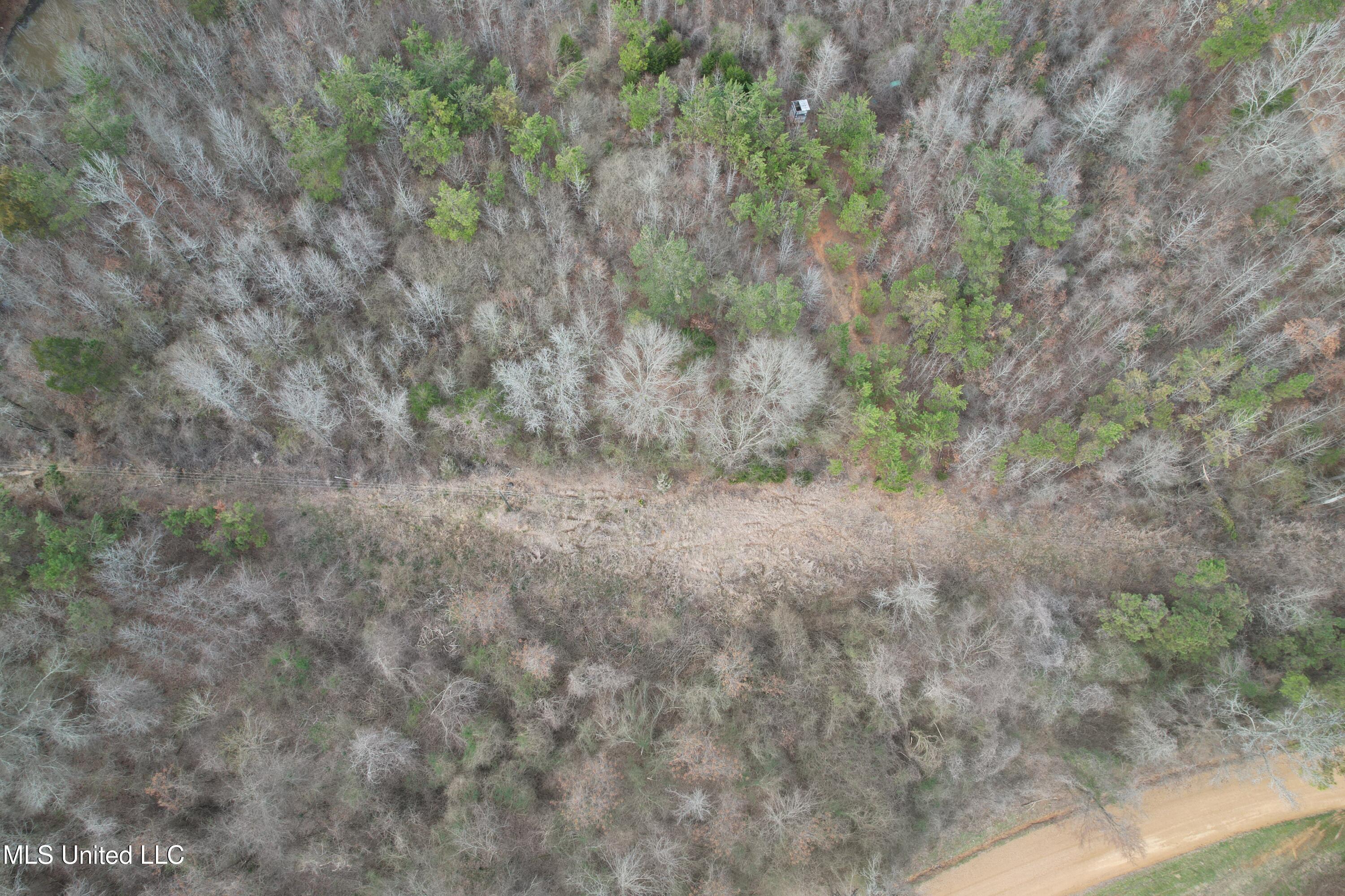 Gordon Road Duck Hill, MS 38925 - Photo 3 of 16 DJI_0178