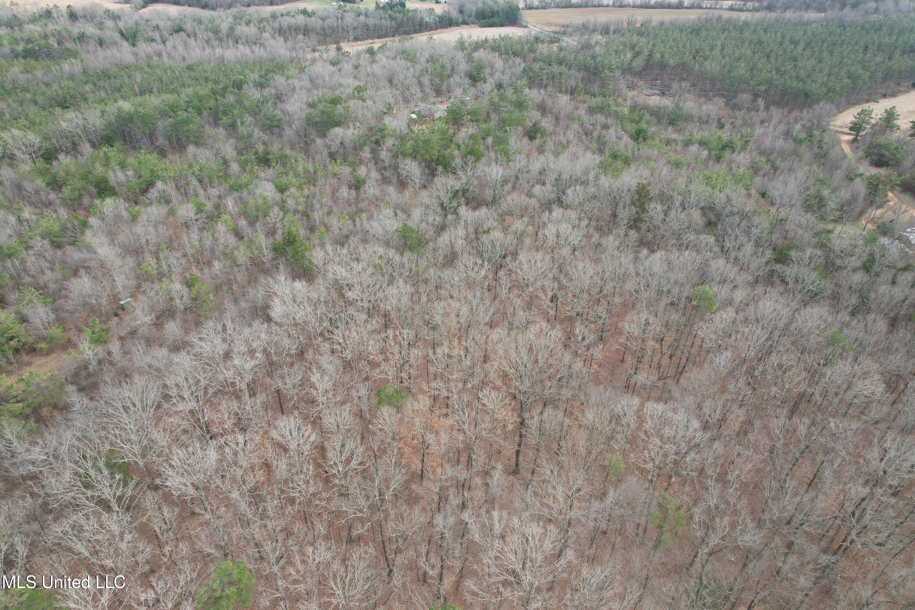 Gordon Road Duck Hill, MS 38925 - Photo 6 of 16 DJI_0177