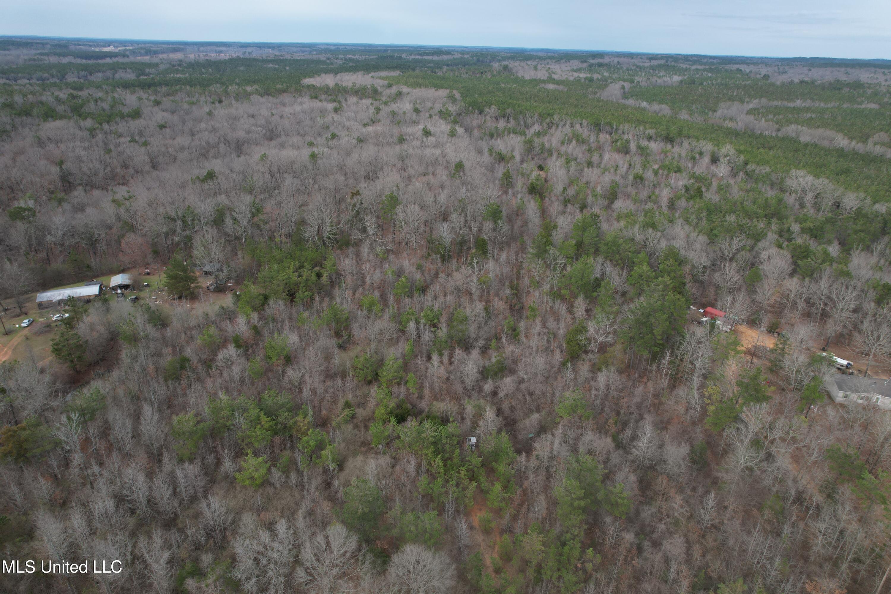 Gordon Road Duck Hill, MS 38925 - Photo 7 of 16 DJI_0175