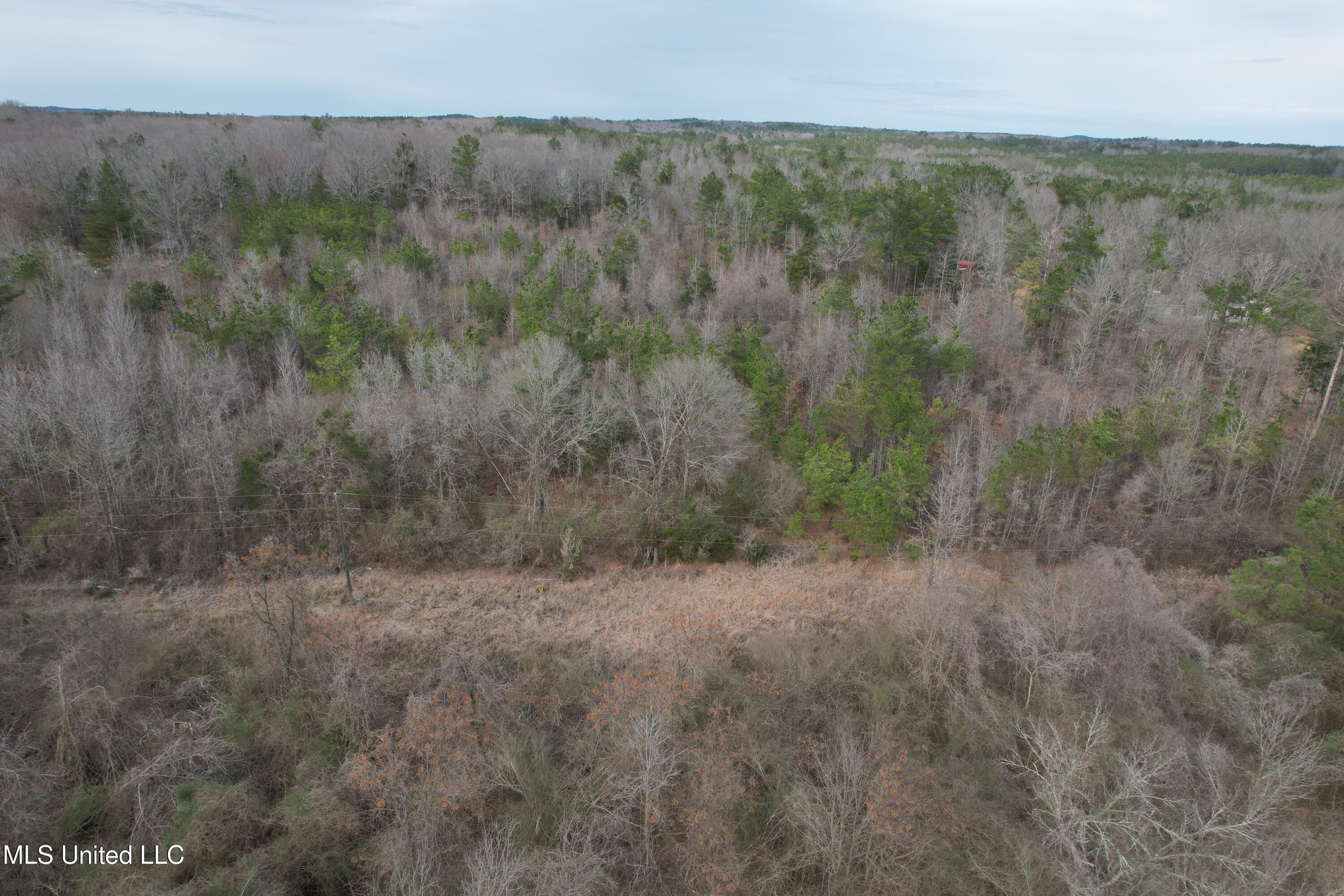 Gordon Road Duck Hill, MS 38925 - Photo 8 of 16 DJI_0174