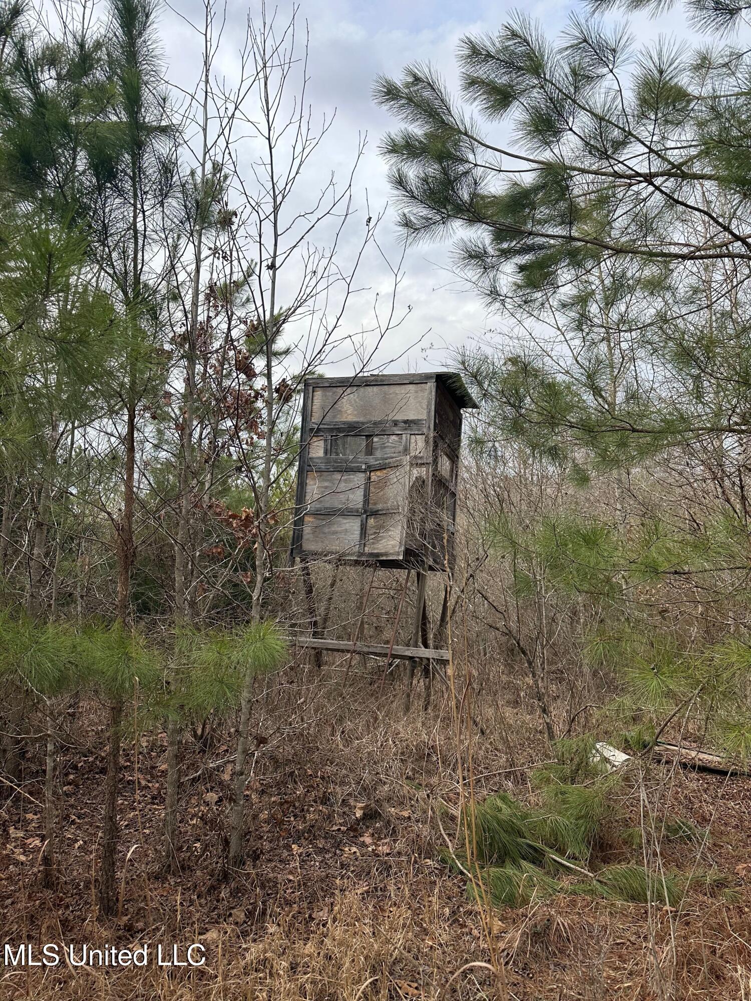 Gordon Road Duck Hill, MS 38925 - Photo 9 of 16 IMG_2844