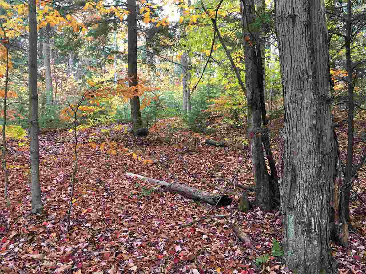 221-13 Rawson Ridge Grantham, NH 03753 - Photo 1 of 1 Gallery Image 1