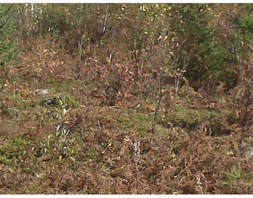 L4 Birch Ridge Road Machias, ME 04654 - Photo 2 of 3 Land/Lot.