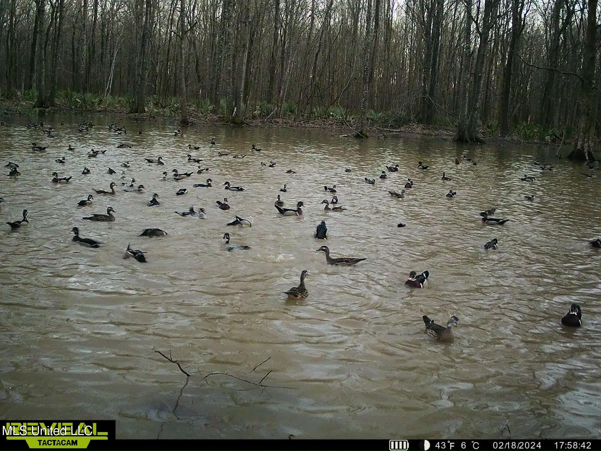 12 Highway 12 Belzoni, MS 39038 - Photo 11 of 31 p28