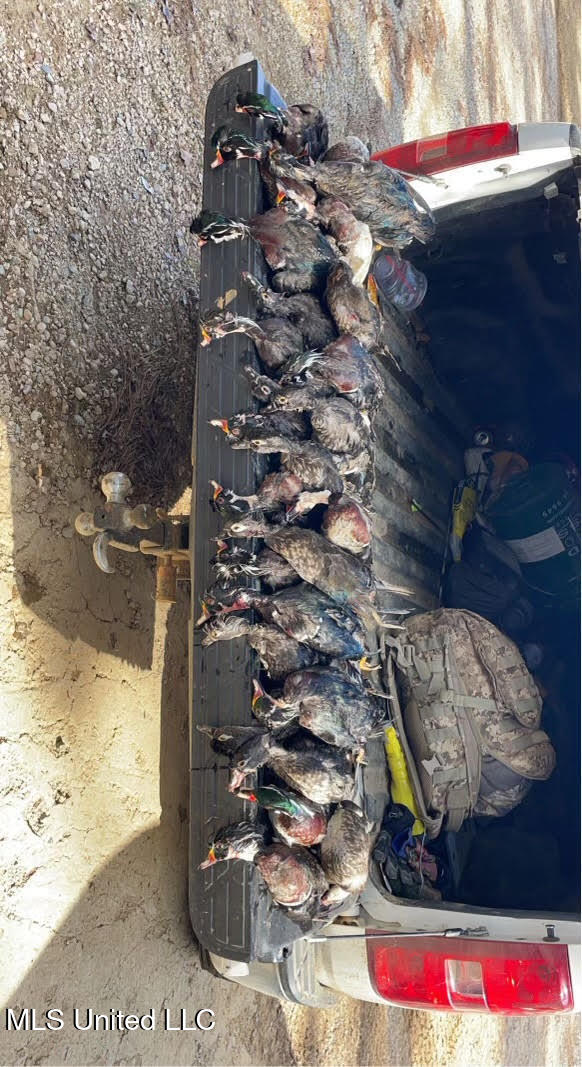 12 Highway 12 Belzoni, MS 39038 - Photo 12 of 31 p30