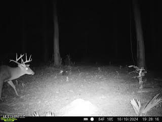 12 Highway 12 Belzoni, MS 39038 - Photo 13 of 31 p2