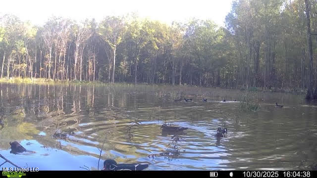 12 Highway 12 Belzoni, MS 39038 - Photo 14 of 31 p3