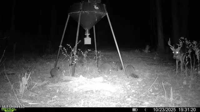 $185,000 | 12 Highway 12, Belzoni, MS 39038