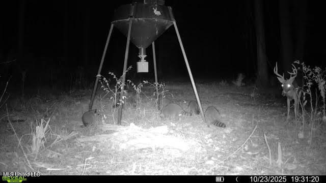 12 Highway 12 Belzoni, MS 39038 - Photo 15 of 31 p4