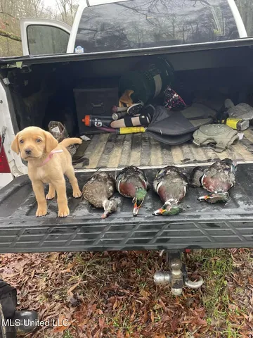 $185,000 | 12 Highway 12, Belzoni, MS 39038