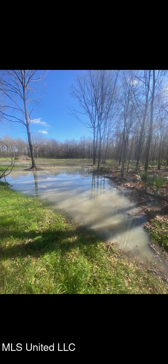 12 Highway 12 Belzoni, MS 39038 - Photo 17 of 31 p6