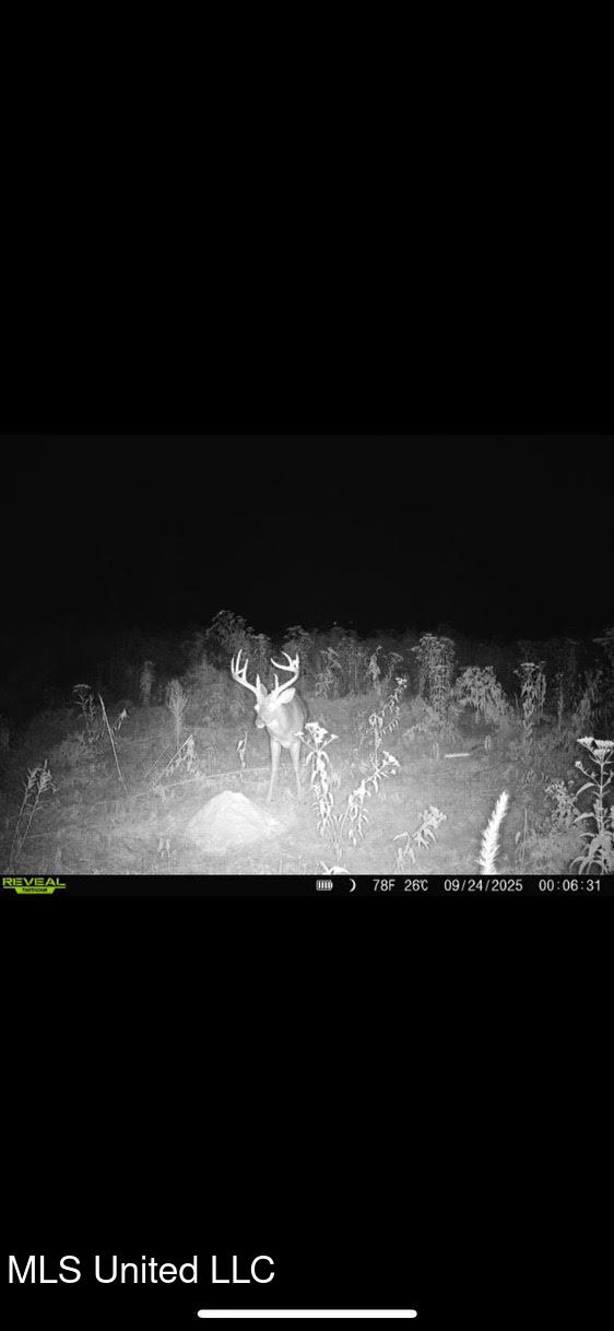 12 Highway 12 Belzoni, MS 39038 - Photo 18 of 31 p7