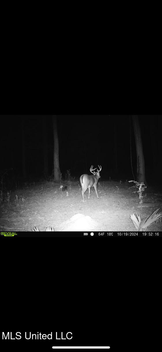 12 Highway 12 Belzoni, MS 39038 - Photo 19 of 31 p32