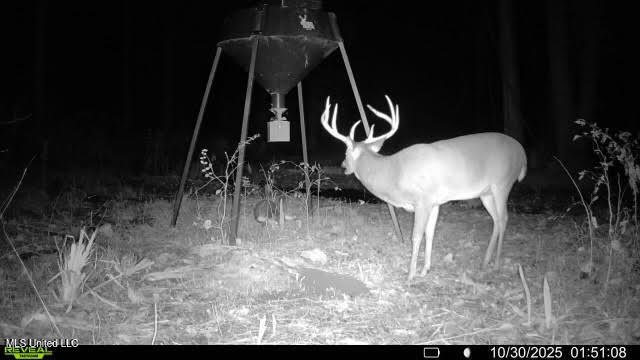 12 Highway 12 Belzoni, MS 39038 - Photo 2 of 31 p1