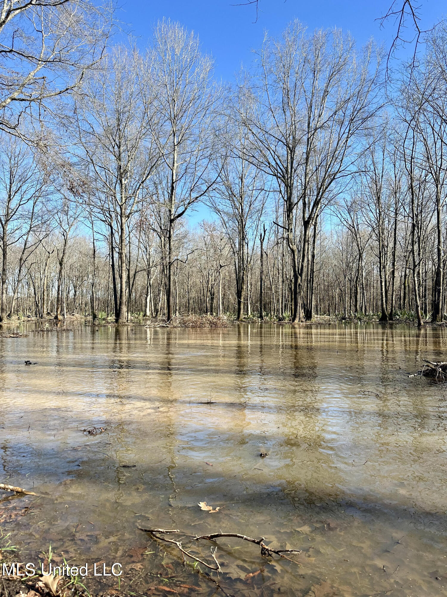 12 Highway 12 Belzoni, MS 39038 - Photo 21 of 31 p9